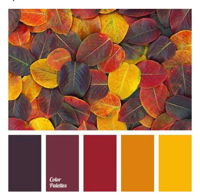  Matrimonio in giallo! 🦄 - 1