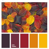  Matrimonio in giallo! 🦄 - 1