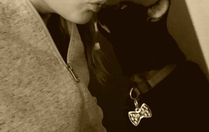 Foto di nozze con i nostri amici animali - 4