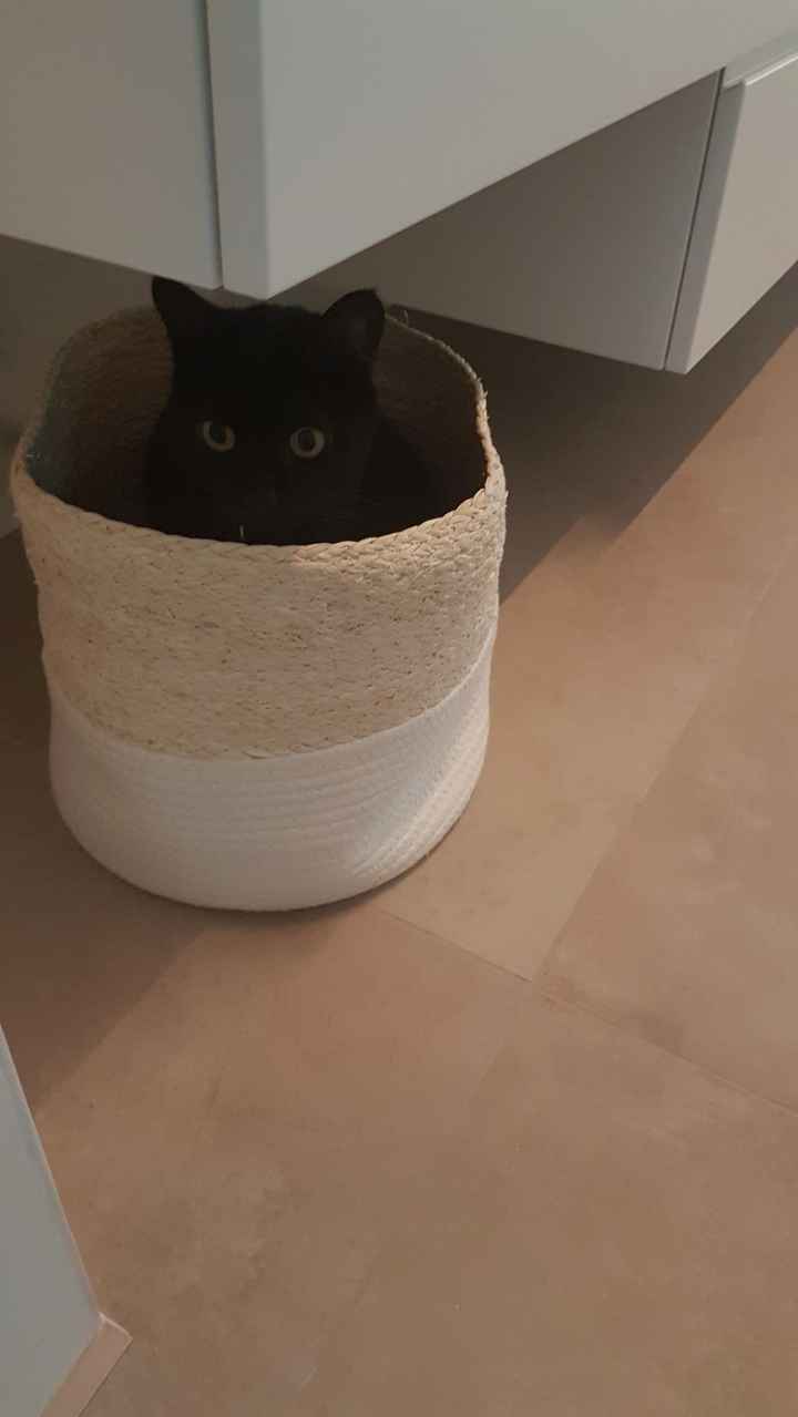 🍀Future mamme Luglio 2022🍀 - 1