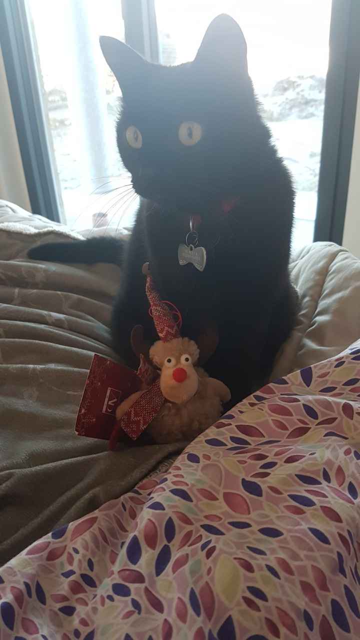 🍀Future mamme Luglio 2022🍀 - 1