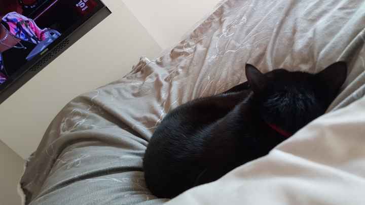 🍀Future mamme Luglio 2022🍀 - 2