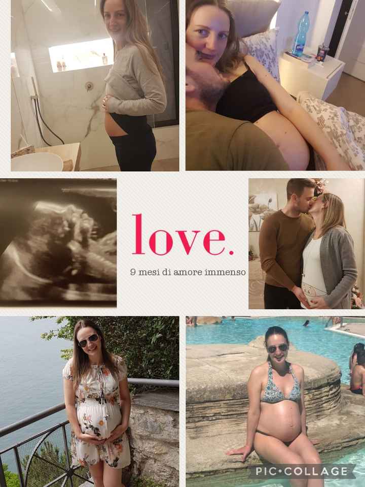 Al via il toto scommesse! ♂️♀️ - 1