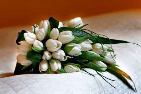 Bouquet tulipani bianchi