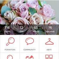 Quanto manca alle vostre nozze? - 1