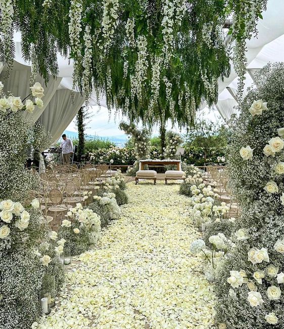 Gypsophila fiori - 1