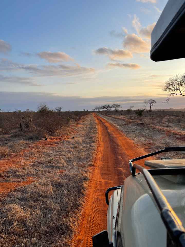 Viaggio di nozze: Kenya - 1