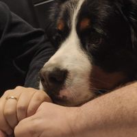 Postate una foto di voi due 👇 - 1