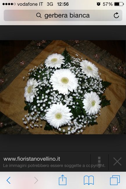 Le mie nozze da oscar su matrimonio.com - 3