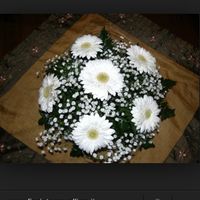 Le mie nozze da oscar su matrimonio.com - 3