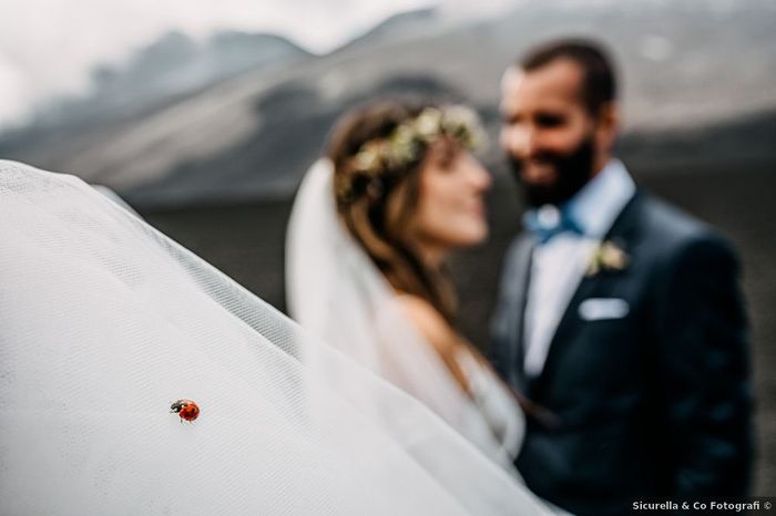 Il verde nei matrimoni: vota il tuo scatto preferito 1