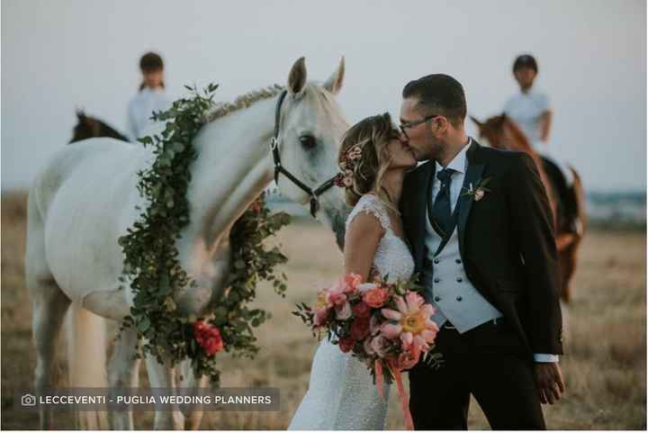 A cavallo: rosso, giallo o verde? - 1