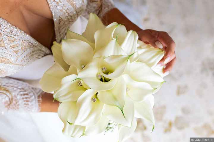 Se fossi un fiore, sarei... - 1