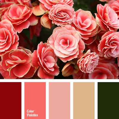 Il colore di nozze secondo il tema 1