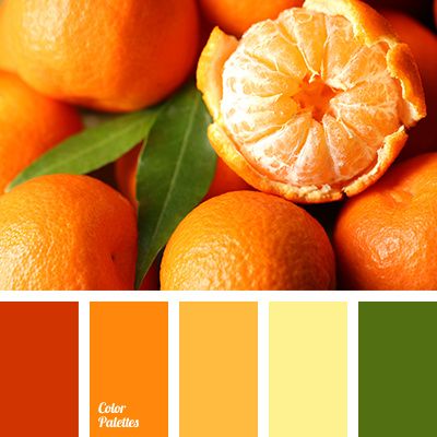 C) Sfumature dell'arancione, giallo e verde