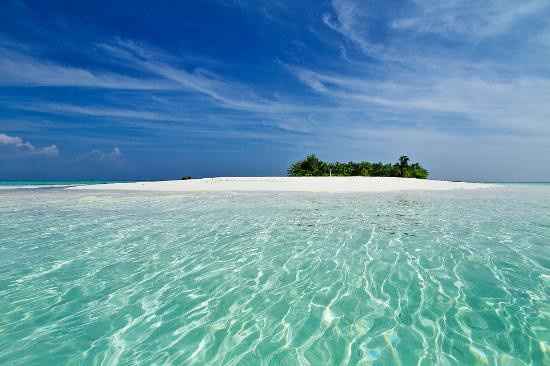 MALDIVE