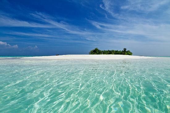 MALDIVE