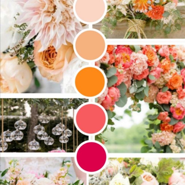 Palette colori 12