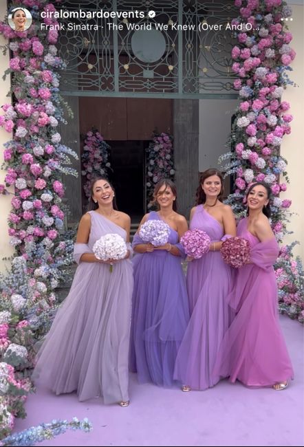 Quale è il vero ruolo delle damigelle? 6