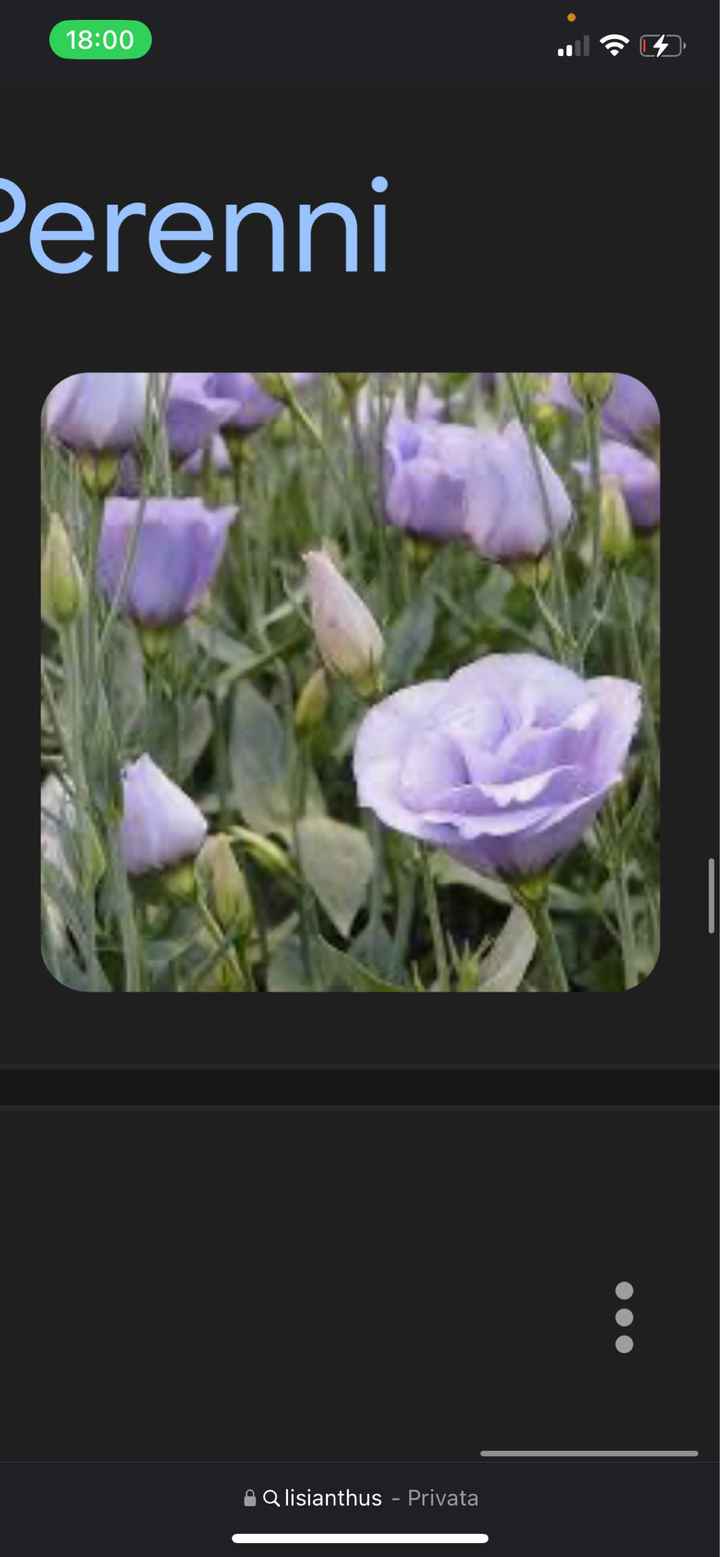 Fiori: ce l’hai o non ce l’hai? - 2