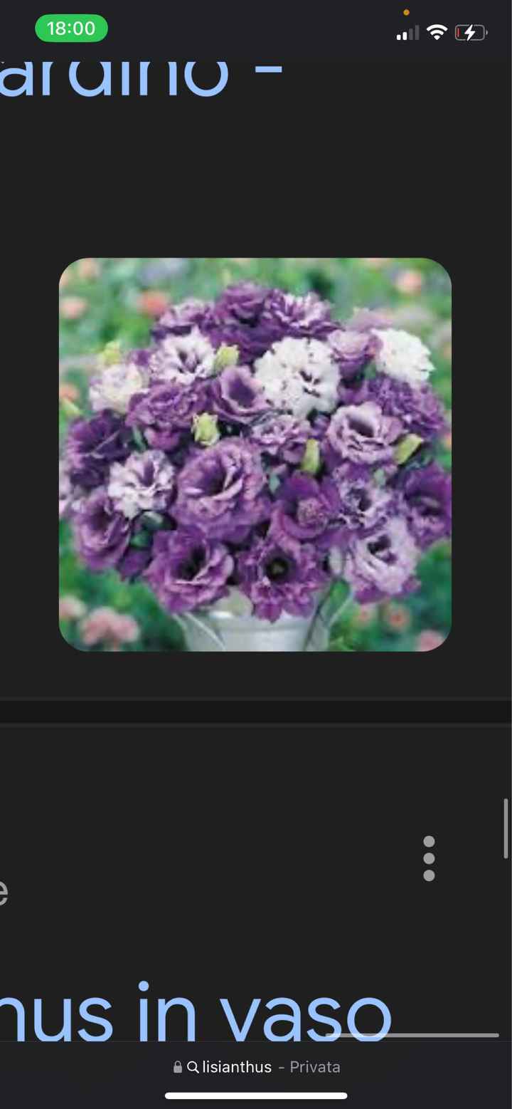 Fiori: ce l’hai o non ce l’hai? - 3