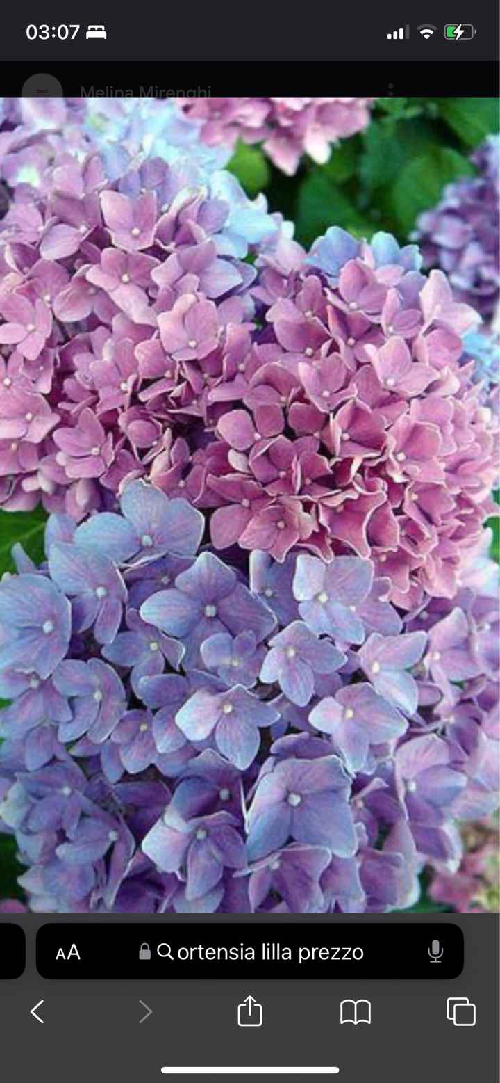 Fiori: ce l’hai o non ce l’hai? - 6
