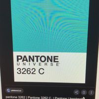 Colore matrimonio - 4