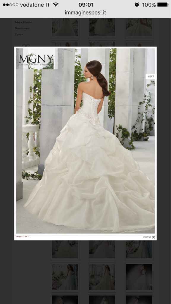 Ho scelto il mio abito da un mesetto.... - 1