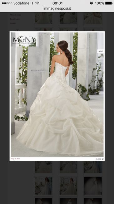 Ho scelto il mio abito da un mesetto.... - 1