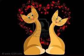 gatti cuori