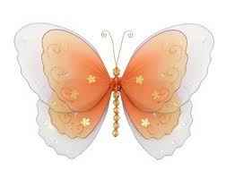 matrimonio arancione farlaffa