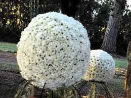 allestimenti floreali