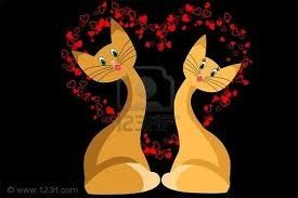 gatti cuori