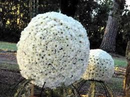 allestimenti floreali