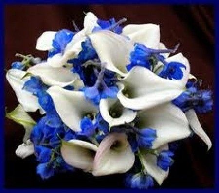 Mandate le foto dei bouquet in blu - 1
