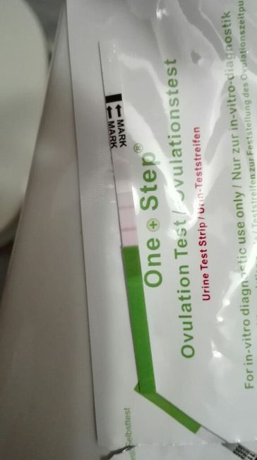 Canadesi prima volta! - 1