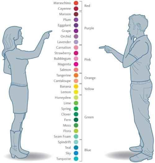 percezione colori uomo e donna