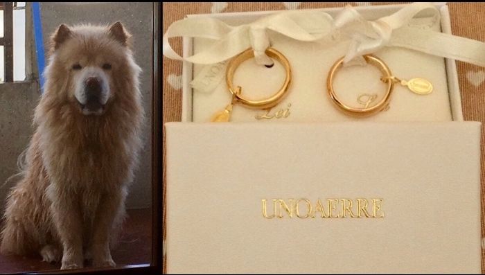 Le mie fedi è il mio Simba🥂🍾