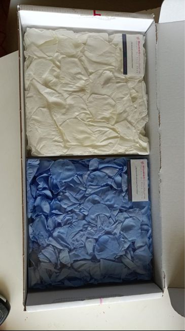 Decorazioni floreali con il blu - 6