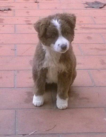 Vi presento nina! - 1