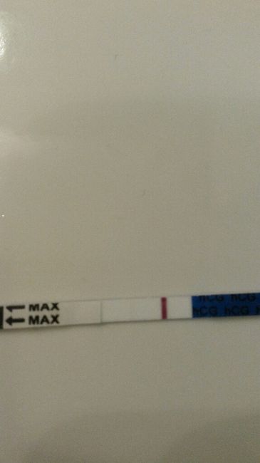 8 po  test canadese gravidanza 2