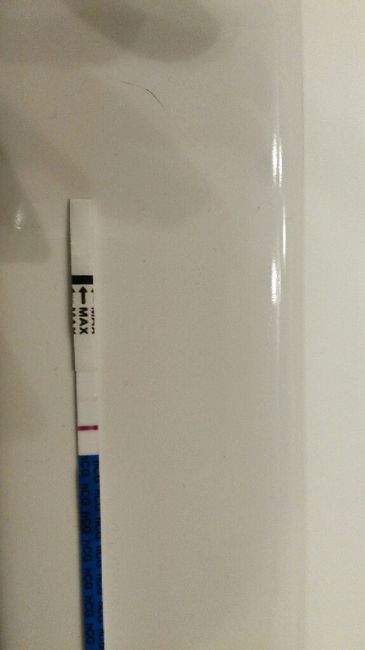 8 po  test canadese gravidanza 4