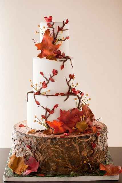 Matrimonio in autunno: la torta - 4