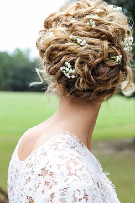 5. RACCOLTO CON GYPSOPHILA