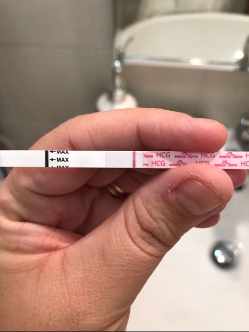 Per chi non le aspetta ottobre, novembre e dicembre 2024🍀🐞 - 1