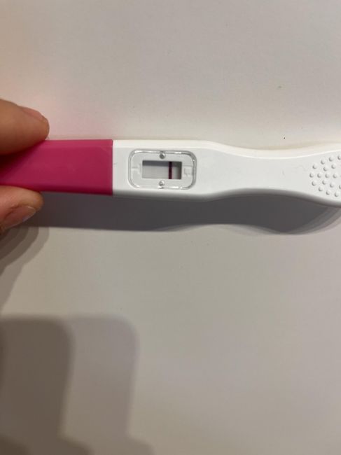 Per chi non le aspetta ottobre, novembre e dicembre 2024🍀🐞 - 2