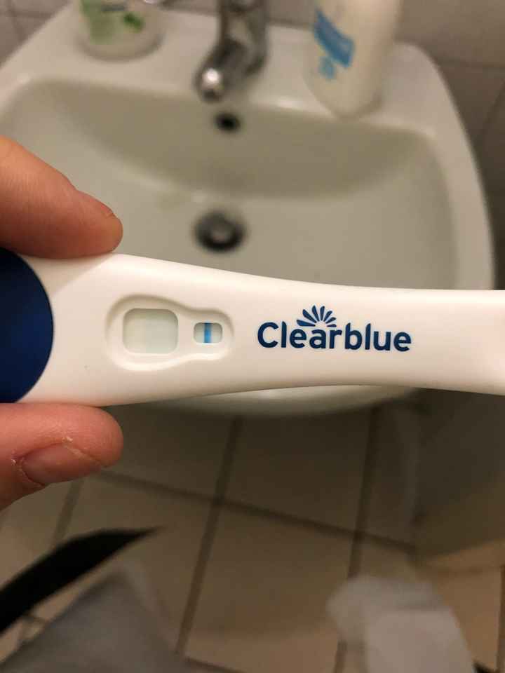 Per chi non le aspetta ottobre, novembre e dicembre 2024🍀🐞 - 3