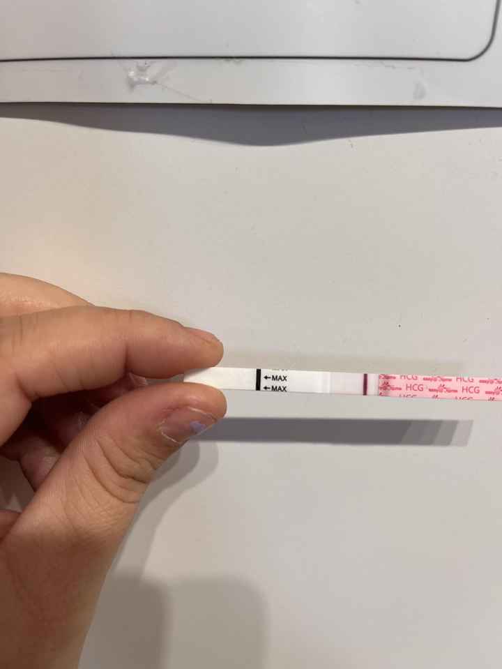 Per chi non le aspetta ottobre, novembre e dicembre 2024🍀🐞 - 1