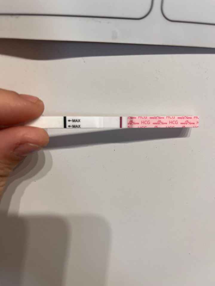 Per chi non le aspetta ottobre, novembre e dicembre 2024🍀🐞 - 1