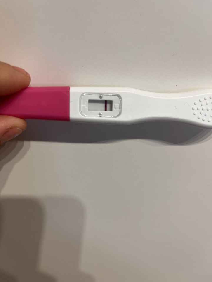 Per chi non le aspetta ottobre, novembre e dicembre 2024🍀🐞 - 2